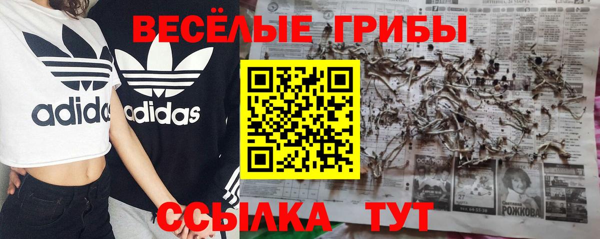 Псилоцибиновые грибы Psilocybine cubensis  Вход с VPN  Псилоцибиновые грибы мицелий  Борисоглебск 