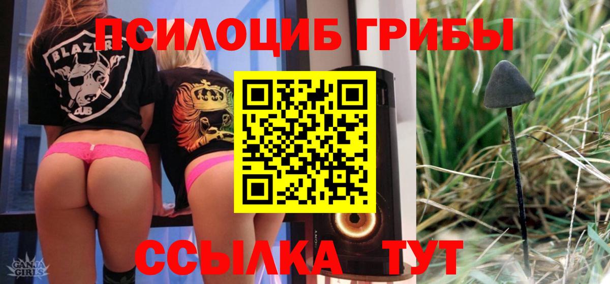 Псилоцибиновые грибы мухоморы Борисоглебск